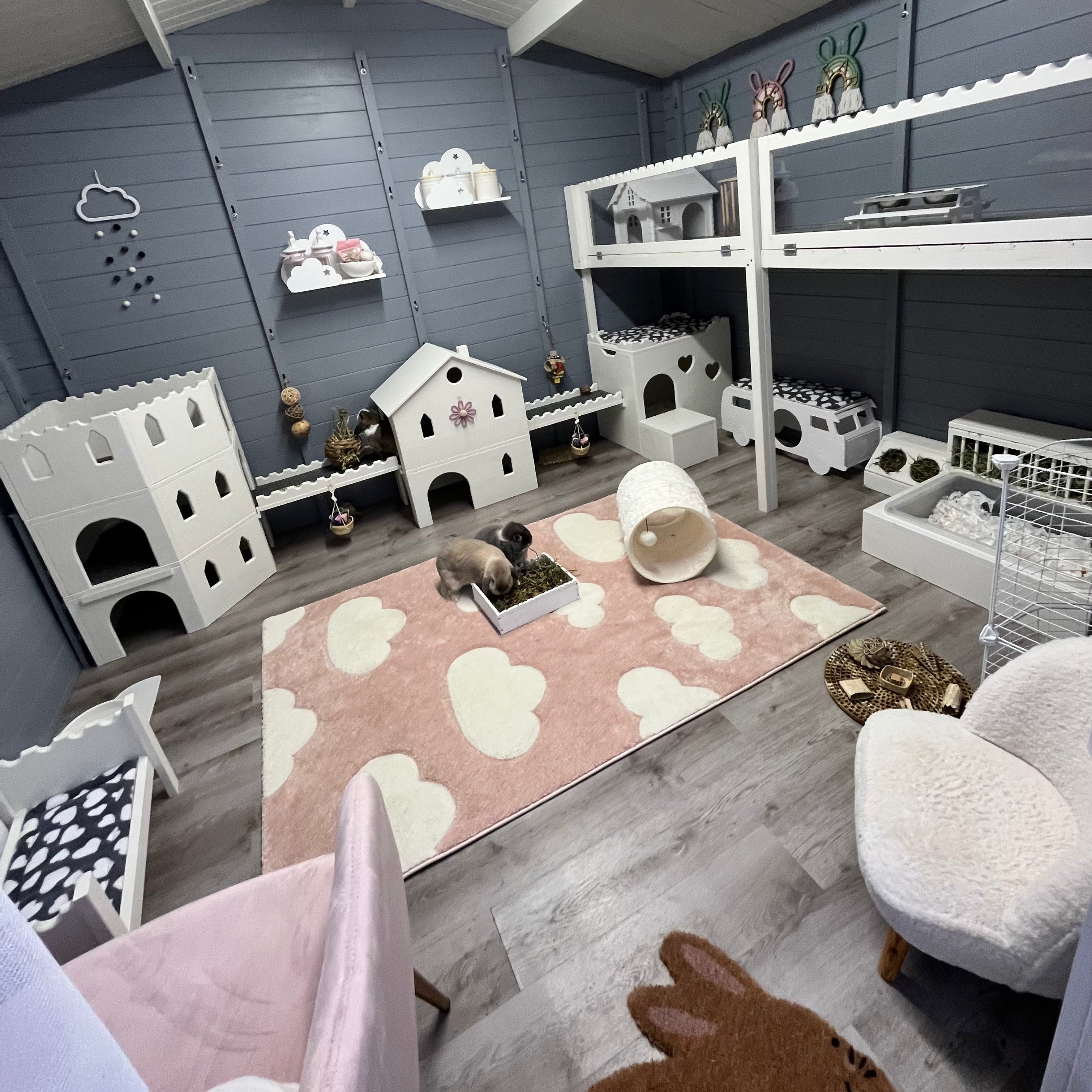 Rabbit Awareness Week Day 1 - A Hutch Is Not Enough