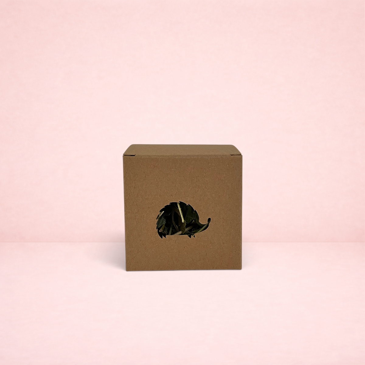 Darling Bun Shop autumn boredom breaker toy in a brown cardboard box with a hedgehog-shaped cutout for small pets