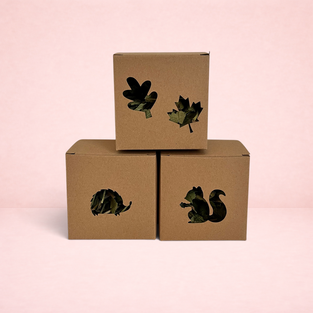 Darling Bun Shop autumn boredom breaker forage boxes with leaf, hedgehog, and squirrel cutouts filled with dried herbs