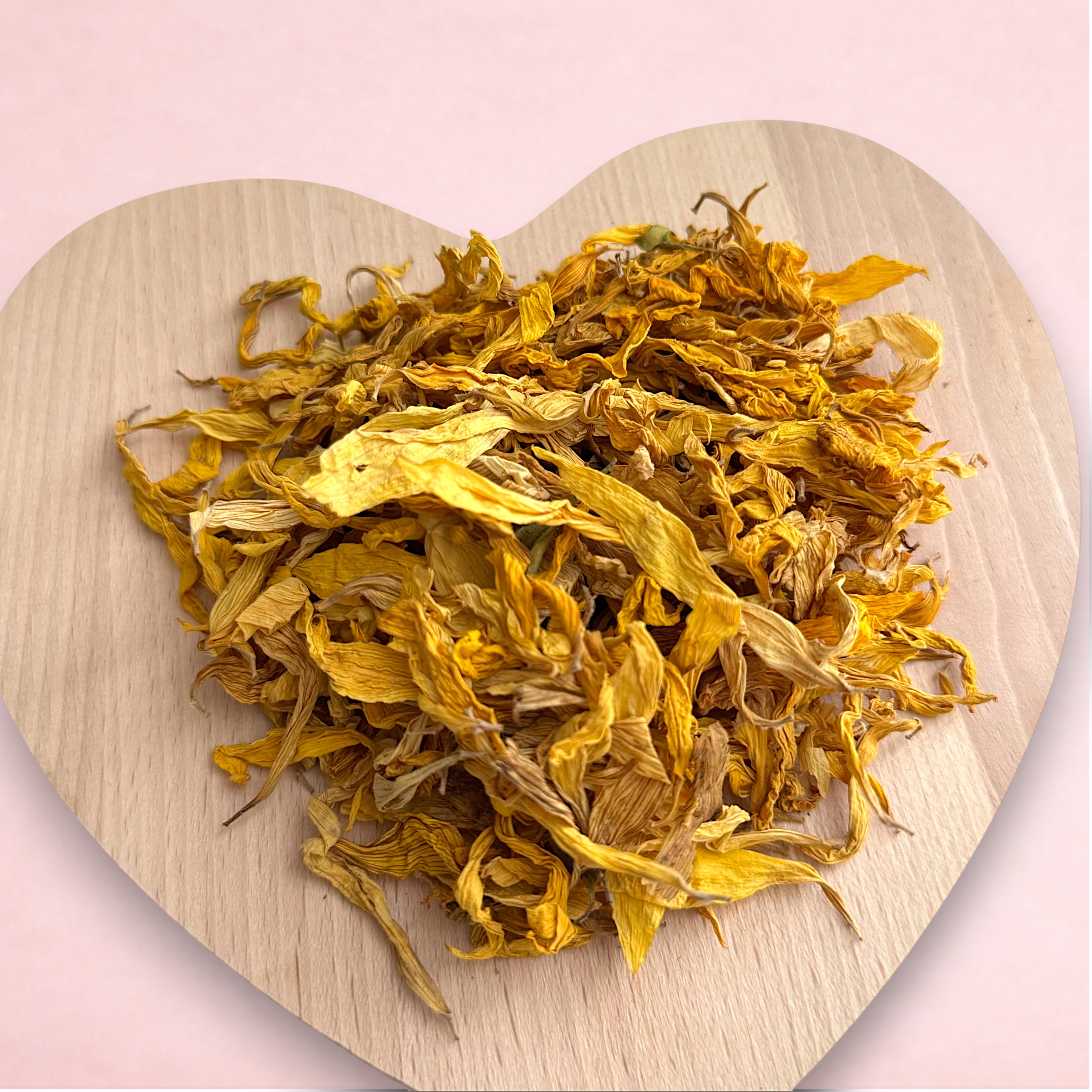 Sunflower petals 2.jpg