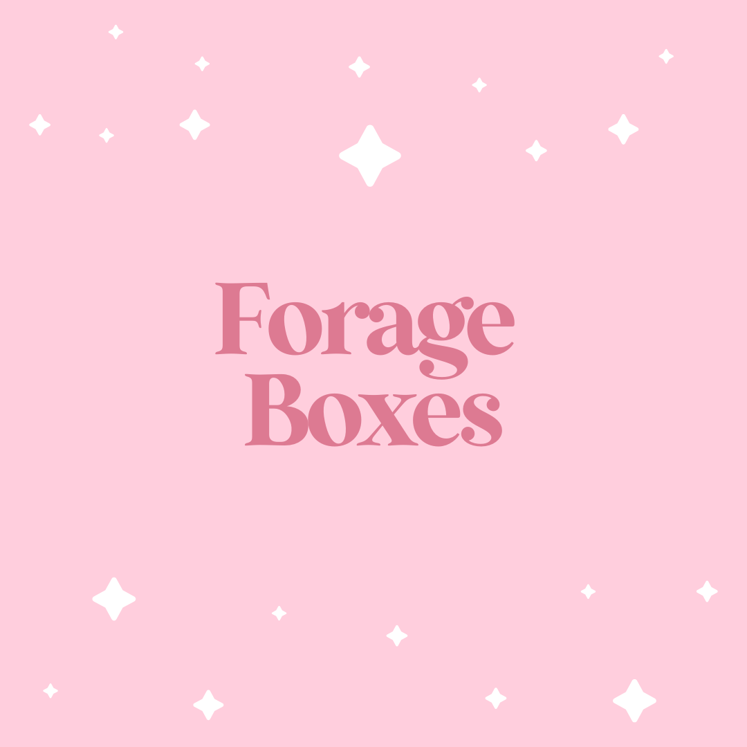 Forage Subscription Box Forage Boxes – Darling Bun Shop