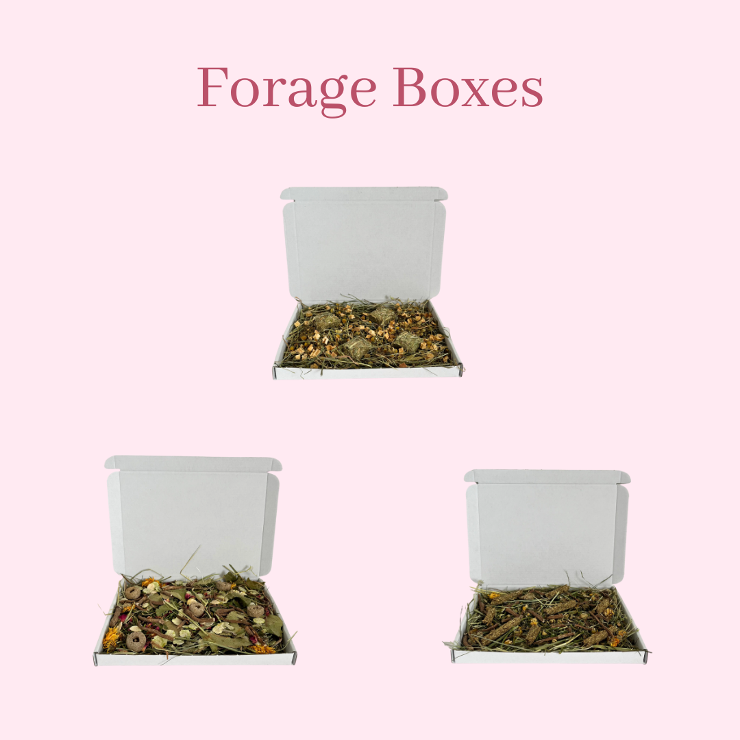 Forage Boxes