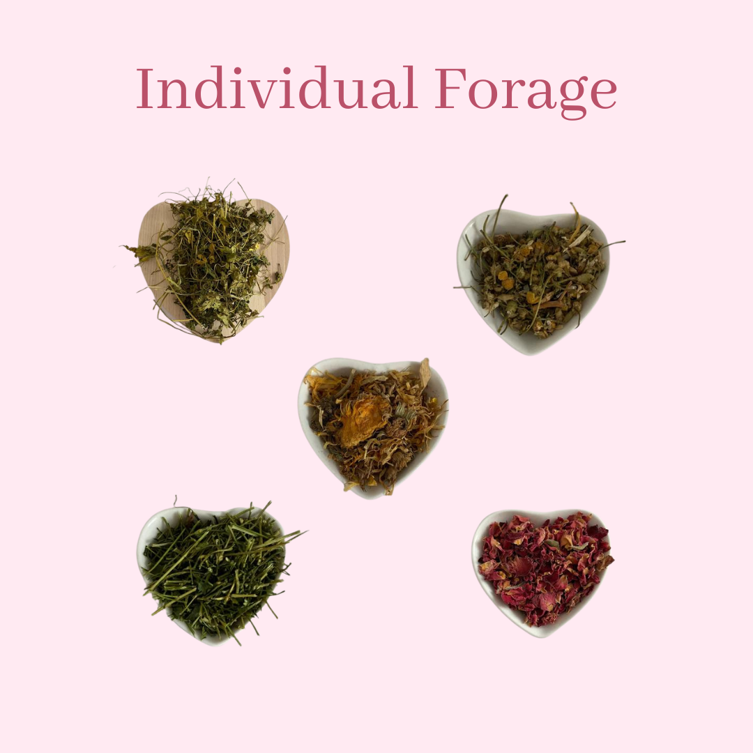 Individual Forage