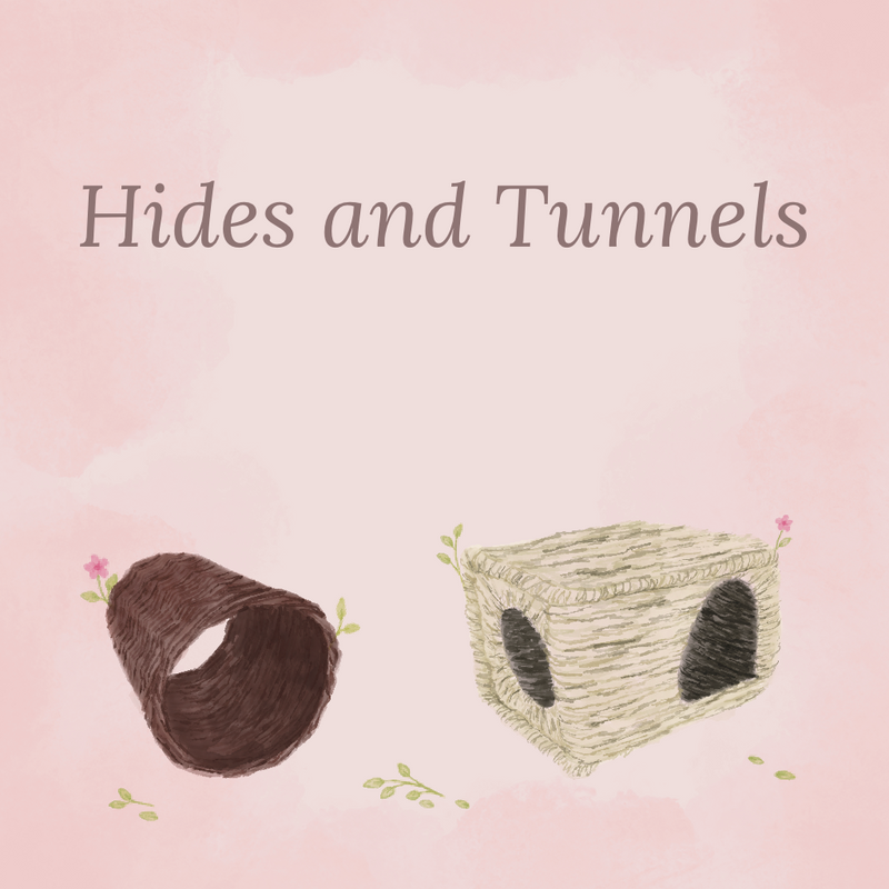 Tunnels & Hideaways