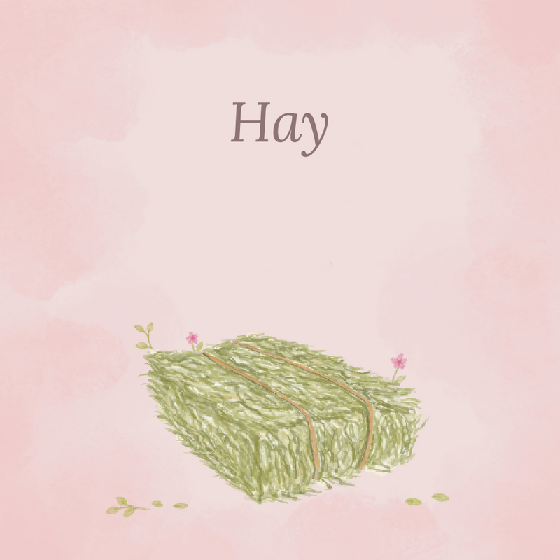 Hay