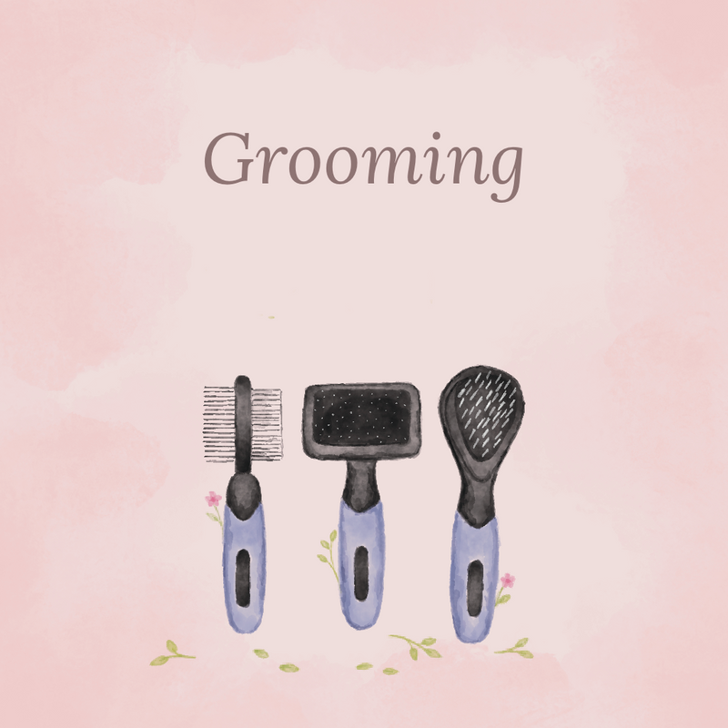 Grooming