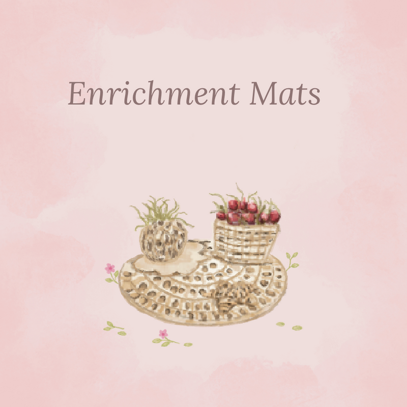Enrichment Mats