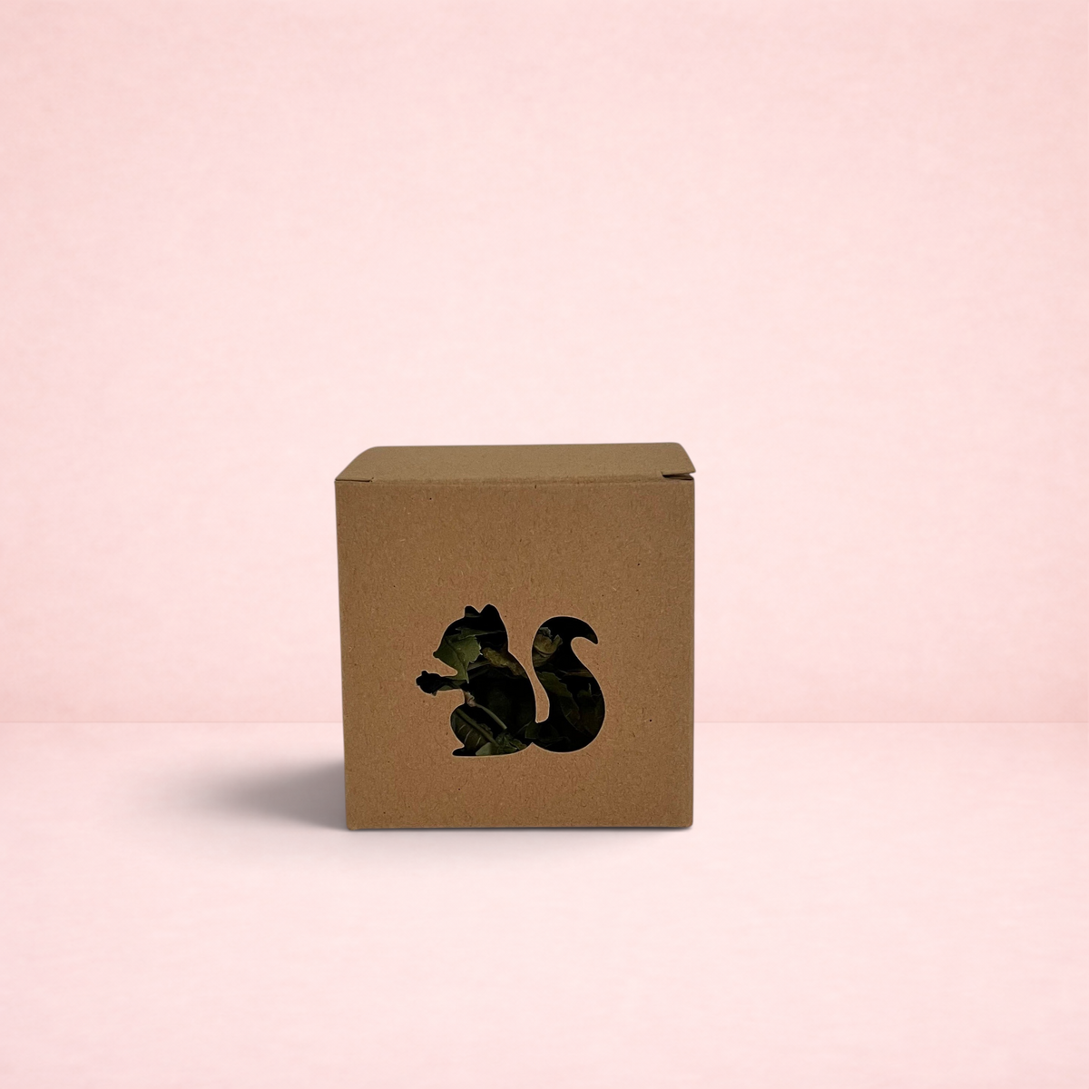 Darling Bun Shop squirrel-shaped cardboard foraging toy filled with dried herbs for small pets