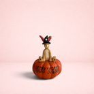 Darling Bun Shop witch rabbit ornament wearing a black hat sitting on an orange pumpkin with Spooky Season text