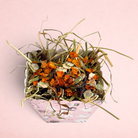 Darling Bun Shop pink ghost-themed Halloween snack box filled with timothy hay, pumpkin spice forage, and flakes.