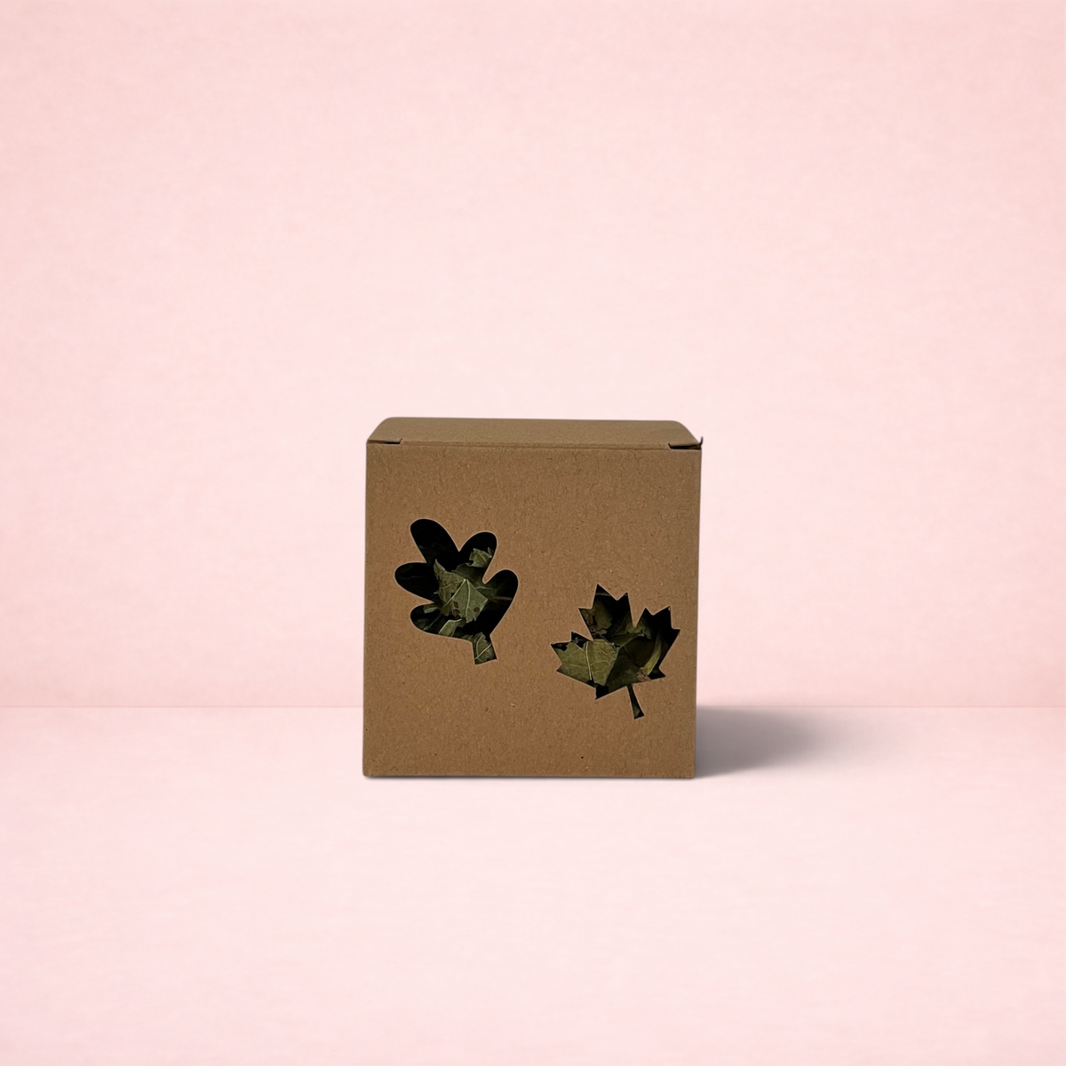 Darling Bun Shop cardboard foraging box with leaf-shaped cutouts filled with dried herbs for small pets