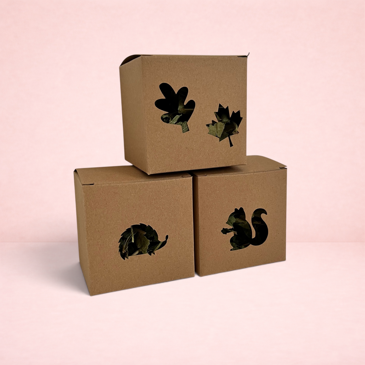 Darling Bun Shop Autumn boredom breaker foraging boxes for small pets with hedgehog, squirrel, and leaf cut-outs.