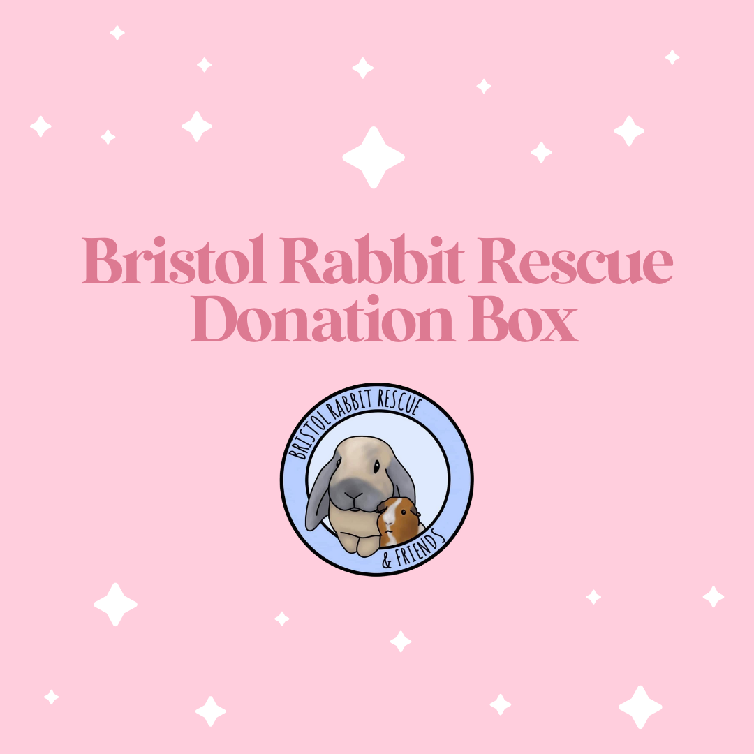 Bristol Rabbit Rescue Donation Box – Darling Bun Shop