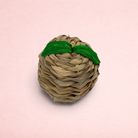 Darling Bun Shop apple-shaped small animal toy made from woven natural seagrass and maize leaf with green leaves