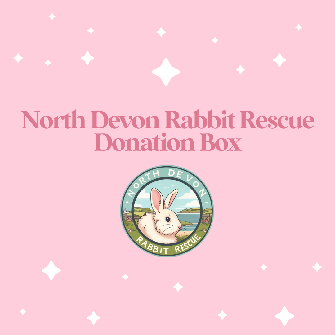 North Devon Rabbit Rescue Donation Box – Darling Bun Shop